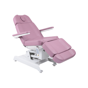 Esthetica Mridul Derma Bed