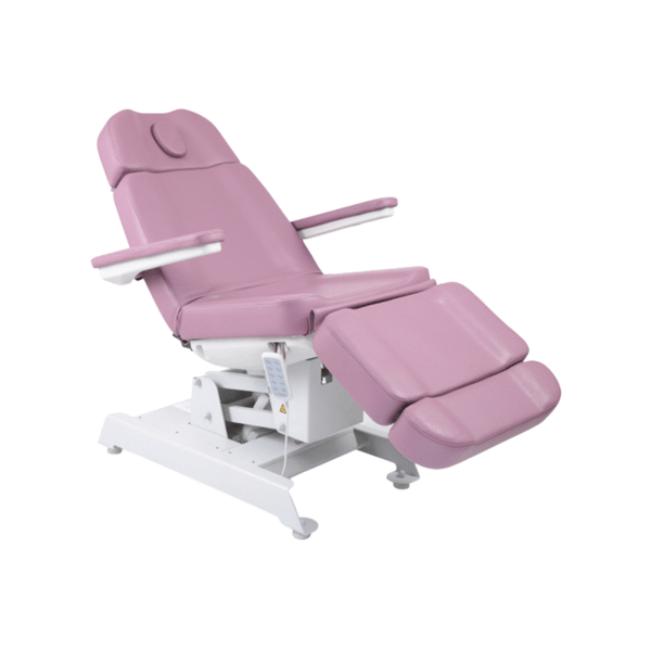 Esthetica Mridul Derma Bed