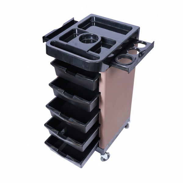 SALONISTA - X103-1  TROLLEY