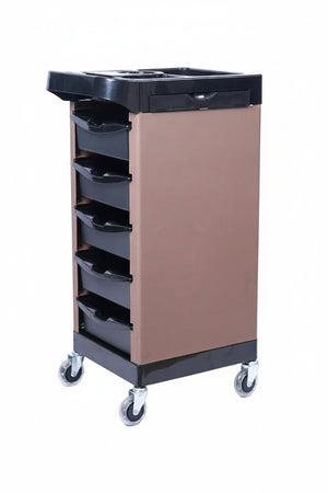 SALONISTA - X103-1  TROLLEY