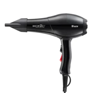 2000W BLAZE DRYER