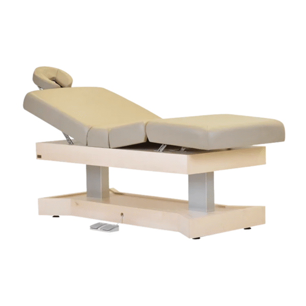 Esthetica Isha Electric Bed