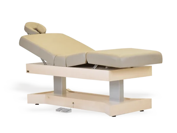 Isa Electric Bed