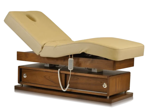 Mudit Electric Spa Bed