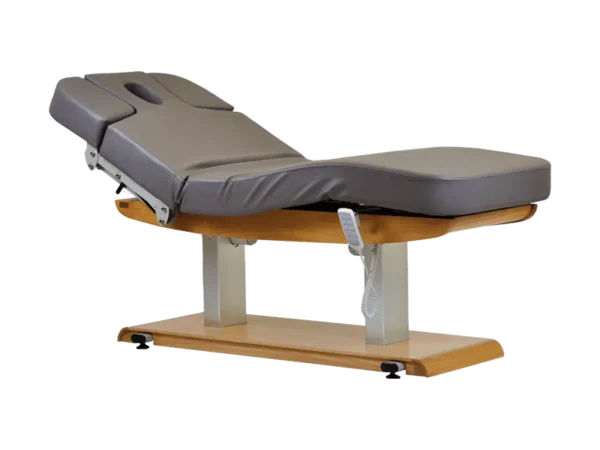 "Esthetica Tejas Electric Spa Massage Bed"
