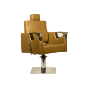 Salonista Mayuri Recliner Chair